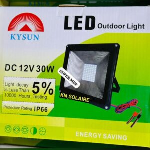 Projecteur 30 watts 12 volts